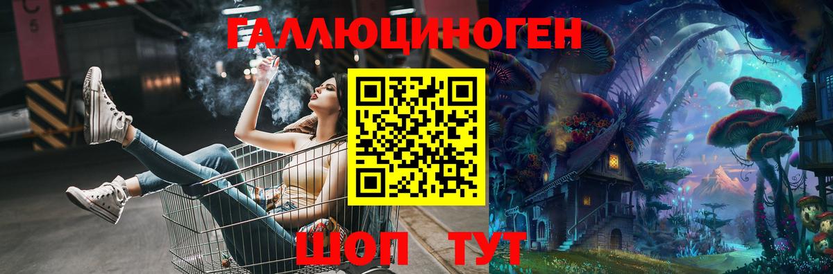 Псилоцибиновые грибы Psilocybine cubensis Магадан