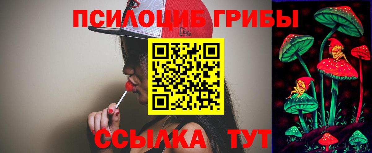 Псилоцибиновые грибы прущие грибы  где можно купить   Магадан 